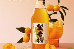 望杏福 杏子复合碳酸饮料 300ml*6 气泡饮料