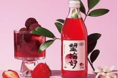 望梅好 杨梅果汁气泡水 300ml*6 气泡饮料