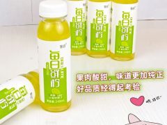 越南小青柠鲜榨青柠汁饮料 248ml*8瓶/箱