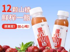 无添加鲜榨山楂汁饮料 248ml*8瓶/箱