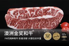 普犇 澳洲金凤凰纯种M6-7和牛肩胛小排 200g 牛肉