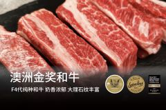 普犇 澳洲金凤凰纯种M6-7和牛肋条 400g 牛肉