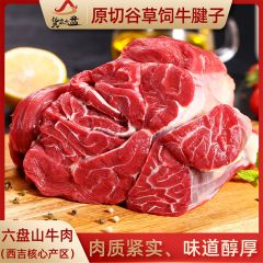 "货出六盘 宁夏西吉县谷草饲喂养 六盘山牛肉 精品黄牛腱子 2斤/袋