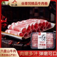 "货出六盘 宁夏西吉县谷草饲喂养 六盘山牛肉 精品黄牛牛肉卷250g*4" 250g*4