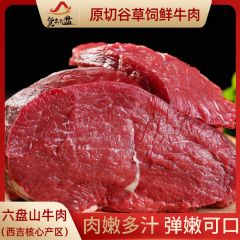 "货出六盘 宁夏西吉县谷草饲喂养 六盘山牛肉 精品黄牛鲜牛肉 5斤