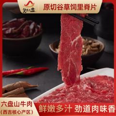 "货出六盘 宁夏西吉县谷草饲喂养 六盘山牛肉 精品黄牛原切里脊切片200g*5" 200g*5